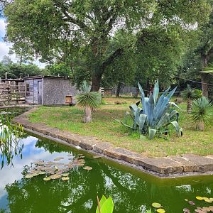Common brown lemur exhibit -Zoo de Labenne (2024)