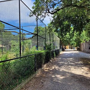 Crane, stork, hornbill... aviary row -Zoo de Labenne (2024)