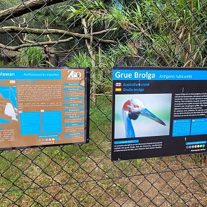 Brolga and Palawan hornbill signs -Zoo de Labenne (2024)