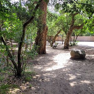 View around aviaries -Zoo de Labenne (2024)