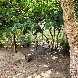 View around aviaries -Zoo de Labenne (2024)