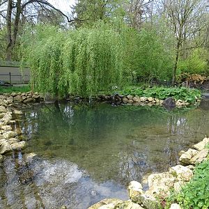 WasSerleben: Otter outdoor enclosure