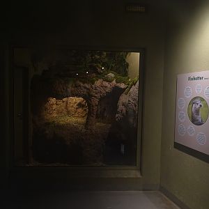 WasSerleben: Otter indoor enclosure