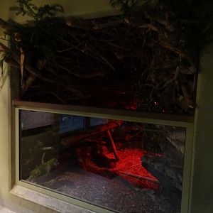 WasSerleben: Beaver indoor enclosure