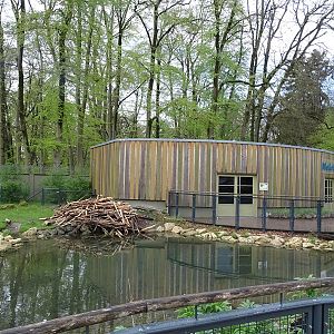 WasSerleben: beaver outdoor enclosure and building