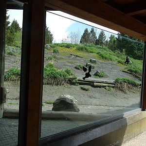 Dagestan tur enclosure