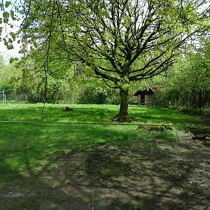 Emu + red-necked wallaby enclosure