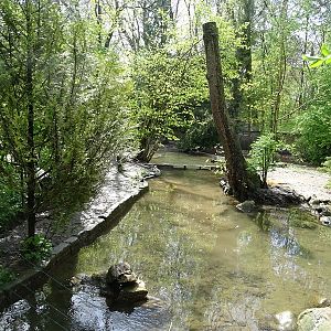 Red-crowned crane + paradise shellduck enclosure