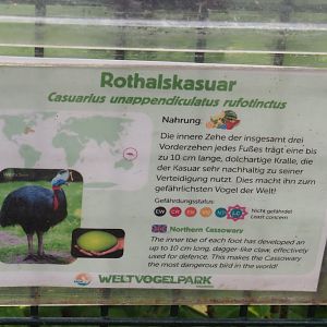 Red-necked cassowary signage, 2024-05-21