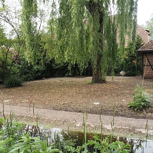 Emu paddock, 2024-05-21