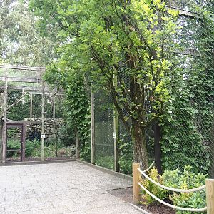 Area with raptor aviaries, 2024-05-24