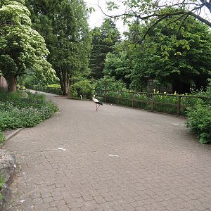 Walkway alongside crane exhibits, 2024-05-21