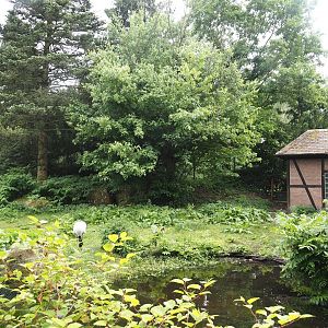 Black-necked crane and Swan goose exhibit, 2024-05-21