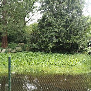 Marabou exhibit, 2024-05-21