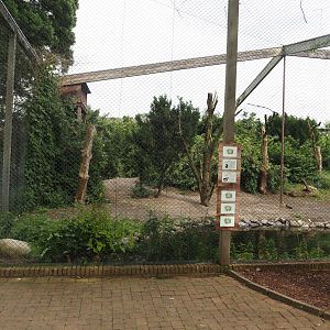 Asian wetland aviary, 2024-05-21