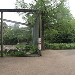 Asian wetland aviary and Marabou exhibit,  2024-05-21