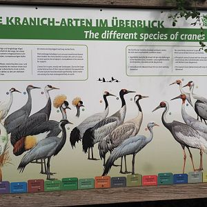 Cranes of the world signage, 2024-05-21