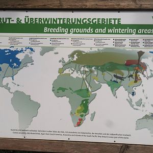 Cranes of the world signage, 2024-05-21