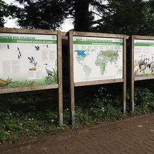 Educational signs about cranes, 2024-05-21