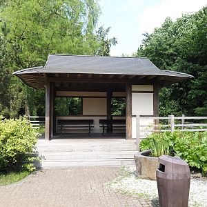 Red-crowned crane viewing pavilion, 2024-05-23