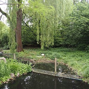 Red-crowned crane and Black-necked swan exhibit, 2024-05-21
