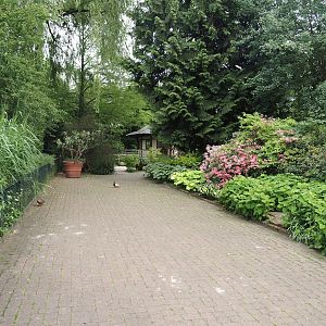 Gardens and walkway alongside crane exhibits, 2024-05-21