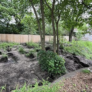 New Aardvark Habitat