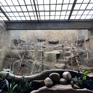 Indoor Lemur Habitat