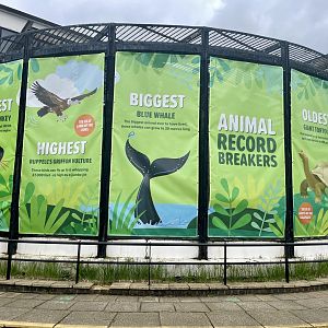 The Gorilla/Round House