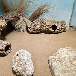 Abandoned Sengi Enclosure