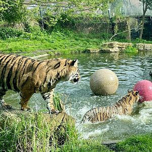 Zac and Crispin having a Splash