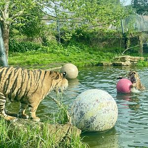 Zac and Crispin having a Splash