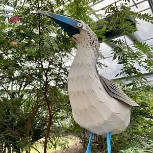 Blue-footed Booby Statue, Giants of the Galápagos