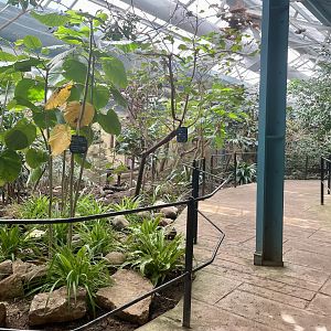 Blackburn Pavillon Walkthrough