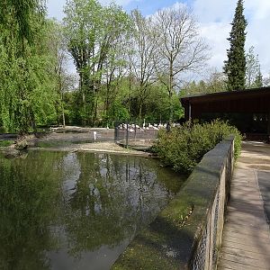 Flamingo enclosure