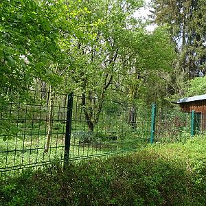 Maned wolf enclosure