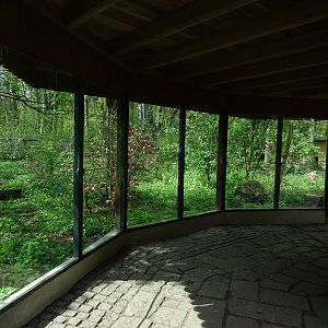 Maned wolf enclosure