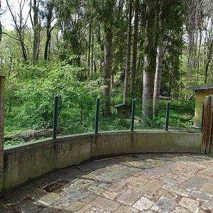 Maned wolf enclosure