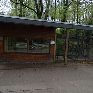 Coati indoor enclosure and sun conure aviary