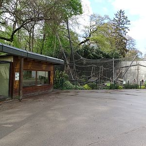 Three-banded armadillo enclosure and capuchin enclosure
