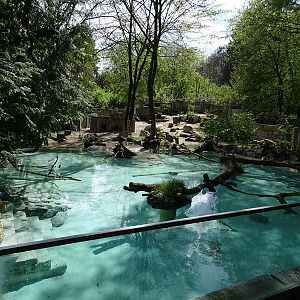 Magellanic penguin enclosure