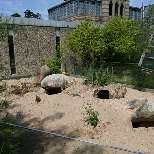 Right-side of Wombat Enclosure