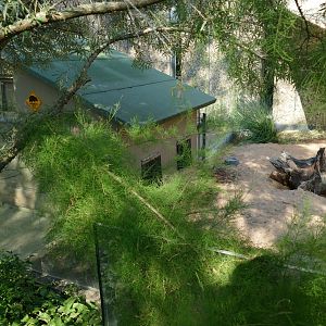 Left-side of Wombat Enclosure