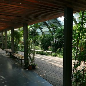 Butterfly House situated within the Insectarium