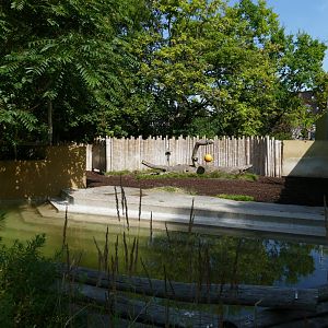Right-side of Malayan Tapir Enclosure