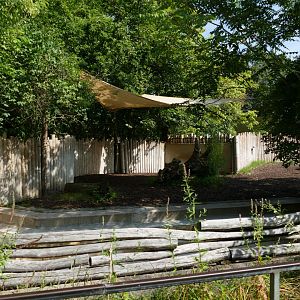 Left-side of Malayan Tapir Enclosure