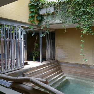 Malayan Tapir Indoor Pool