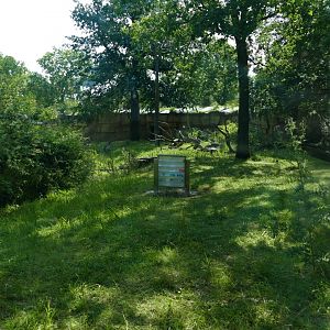 Gorilla Exhibit from different viewing area