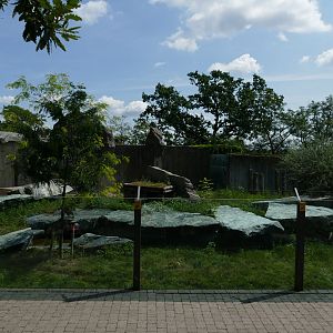 Large Cheetah Enclosure