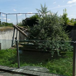 Small Cheetah Enclosure